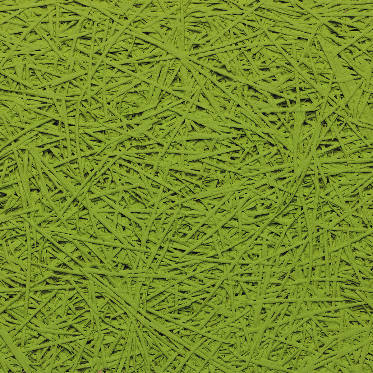 Organic - coloris Vert anis.jpg